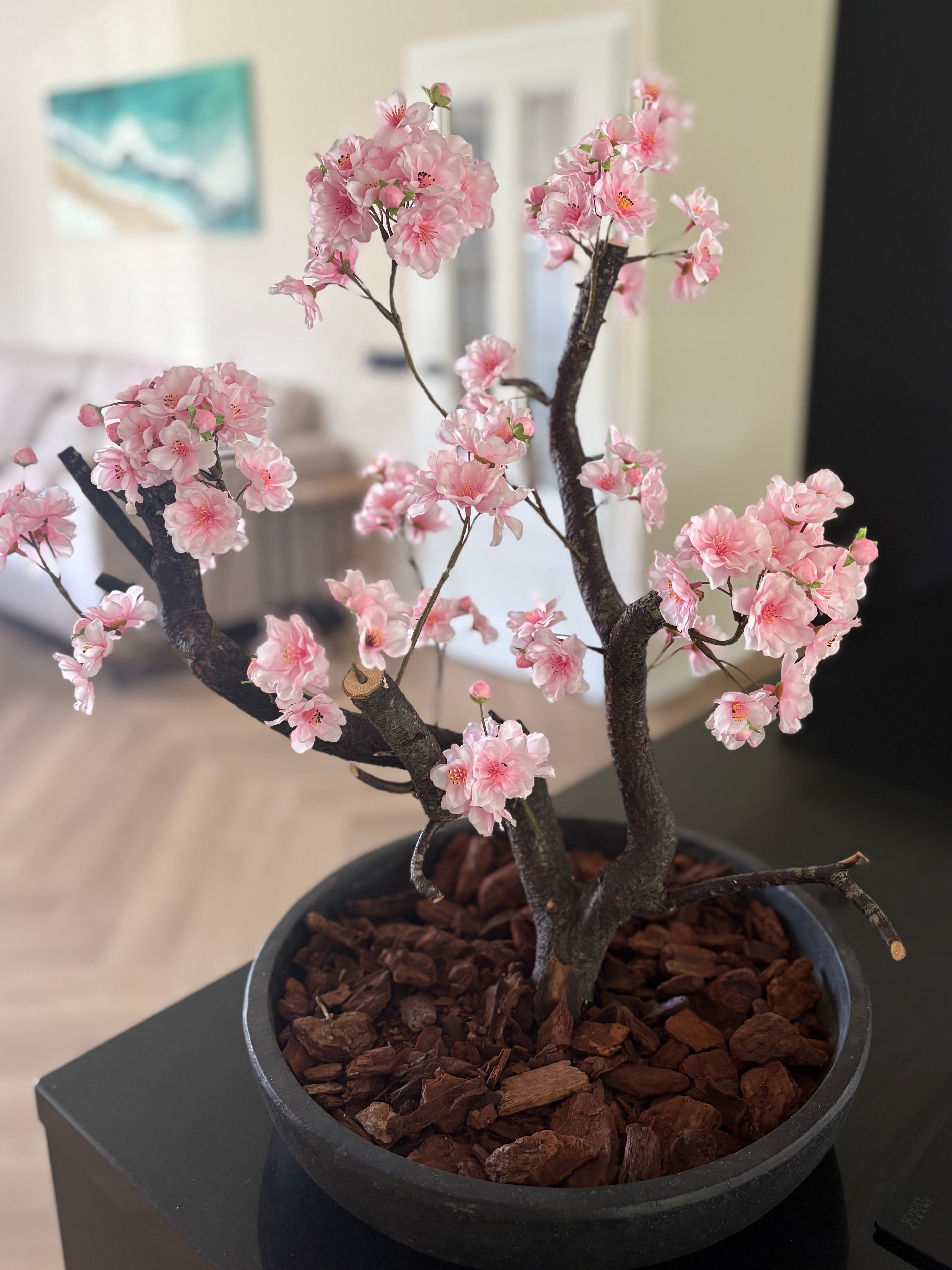 Bloesemboom 55 cm