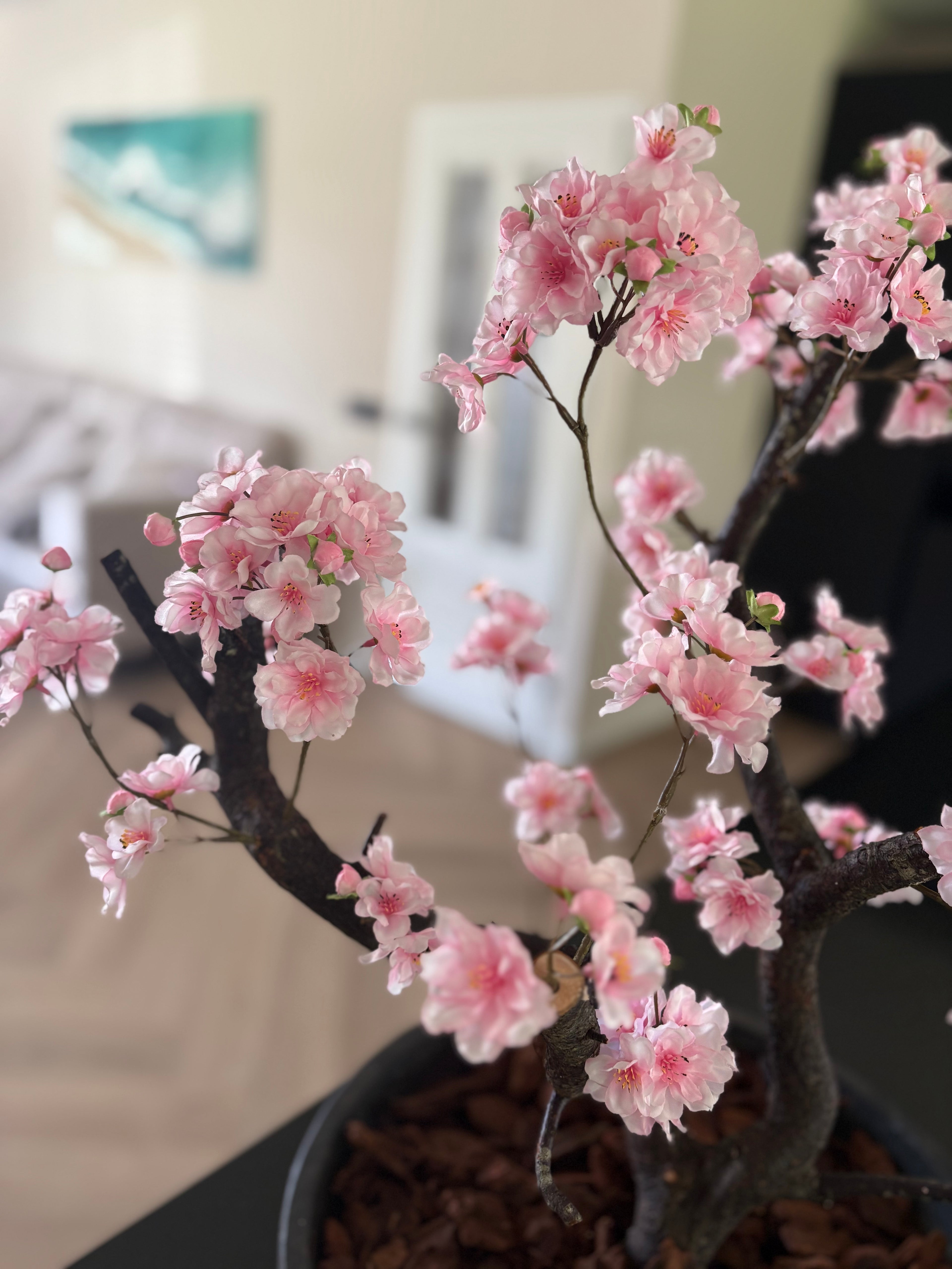 Bloesemboom 55 cm